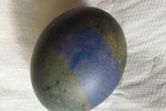 IMG-20230327-WA0019