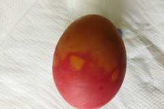 IMG-20230327-WA0021
