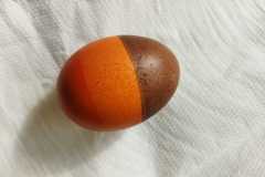 IMG-20230327-WA0023