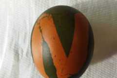 IMG-20230327-WA0024