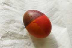 IMG-20230327-WA0025