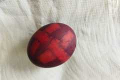 IMG-20230327-WA0026