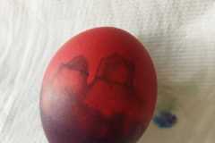 IMG-20230327-WA0027