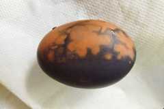 IMG-20230327-WA0028