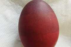 IMG-20230327-WA0029