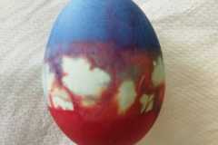 IMG-20230327-WA0031