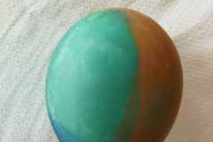 IMG-20230327-WA0032