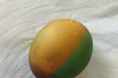 IMG-20230327-WA0033