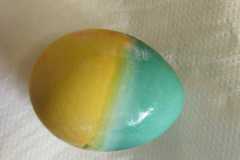 IMG-20230327-WA0035