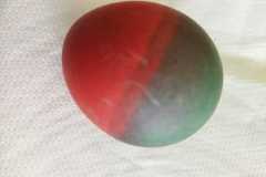 IMG-20230327-WA0037