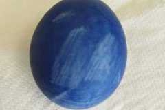 IMG-20230327-WA0038