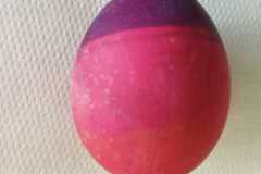 IMG-20230327-WA0039