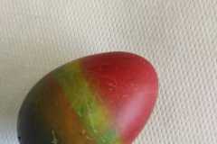 IMG-20230327-WA0041