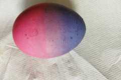 IMG-20230329-WA0001