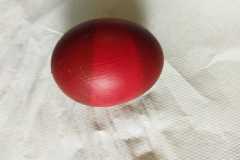IMG-20230329-WA0002