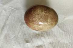 IMG-20230329-WA0004