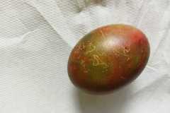 IMG-20230329-WA0005