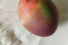 IMG-20230329-WA0006
