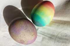 IMG-20230329-WA0007