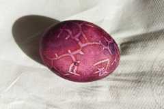 IMG-20230329-WA0008