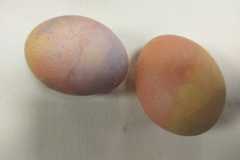 IMG-20230329-WA0011
