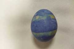 IMG-20230329-WA0012