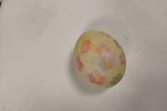 IMG-20230329-WA0013