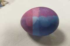 IMG-20230329-WA0014