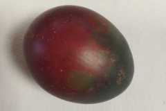 IMG-20230329-WA0015