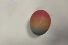 IMG-20230329-WA0017