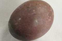 IMG-20230329-WA0019