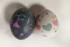 IMG-20230329-WA0020