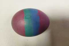 IMG-20230329-WA0021