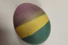 IMG-20230329-WA0022