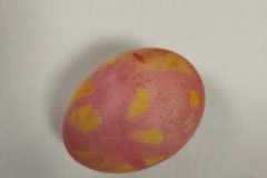 IMG-20230329-WA0023