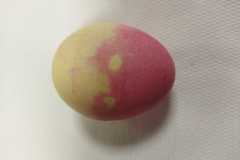 IMG-20230329-WA0026