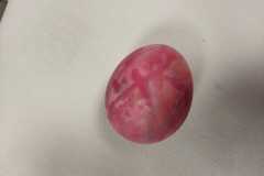 IMG-20230329-WA0029