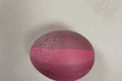 IMG-20230329-WA0030