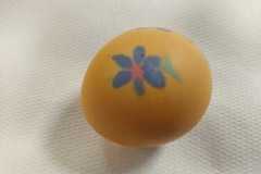 IMG-20230329-WA0031