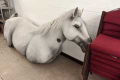 IMG-20260528-WA0011