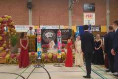 Bild8