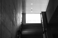 Eindrücke vom Freitag