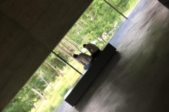 Eindrücke vom Freitag